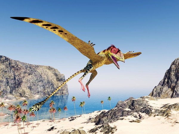 Ritratt ta’ Pterosaur Peteinosaurus