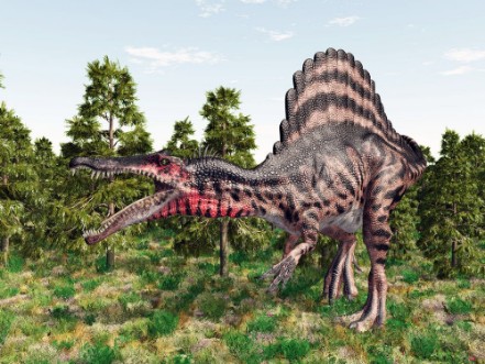 Afbeeldingen van Dinosaur Spinosaurus