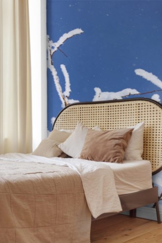 Picture of Branch of a tree in the snow against the blue sky