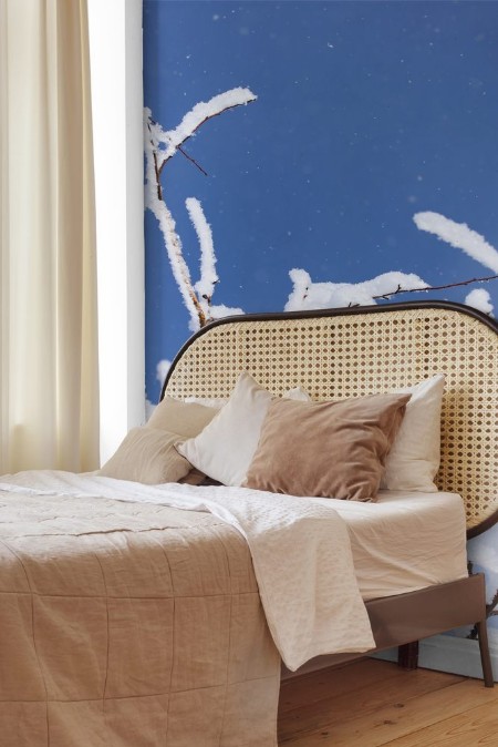 Image de Branch of a tree in the snow against the blue sky