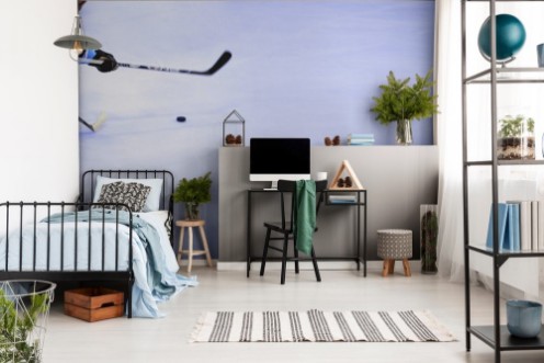 Picture of Eishockey Weltmeisterschaft