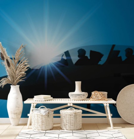 Afbeeldingen van AVION DE CHASSE-Cockpit 2 pilotes