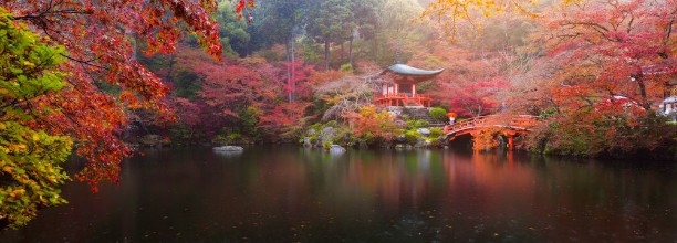 Bild von Daigo-ji temple in autumn