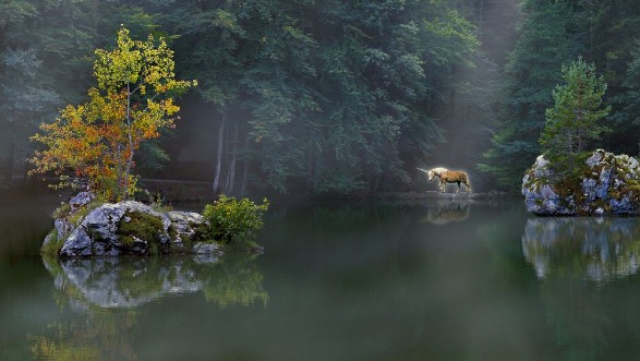 Picture of Einhorn am See