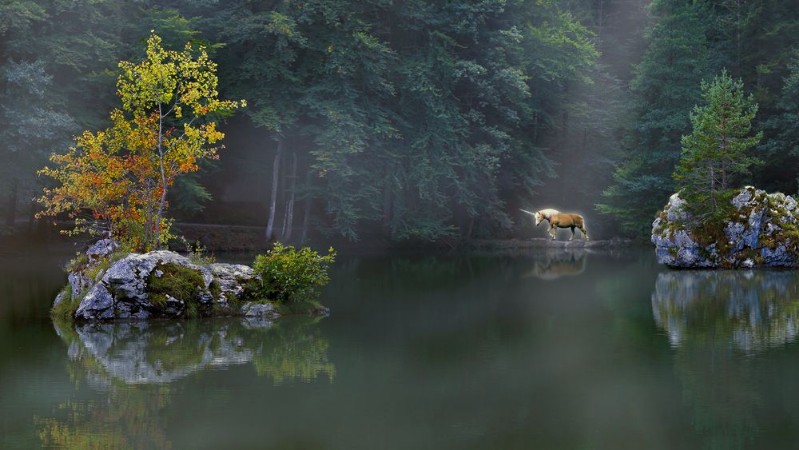 Picture of Einhorn am See