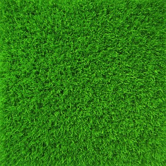 Image de Fuzzy Lawn