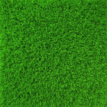 Picture of Fuzzy Lawn