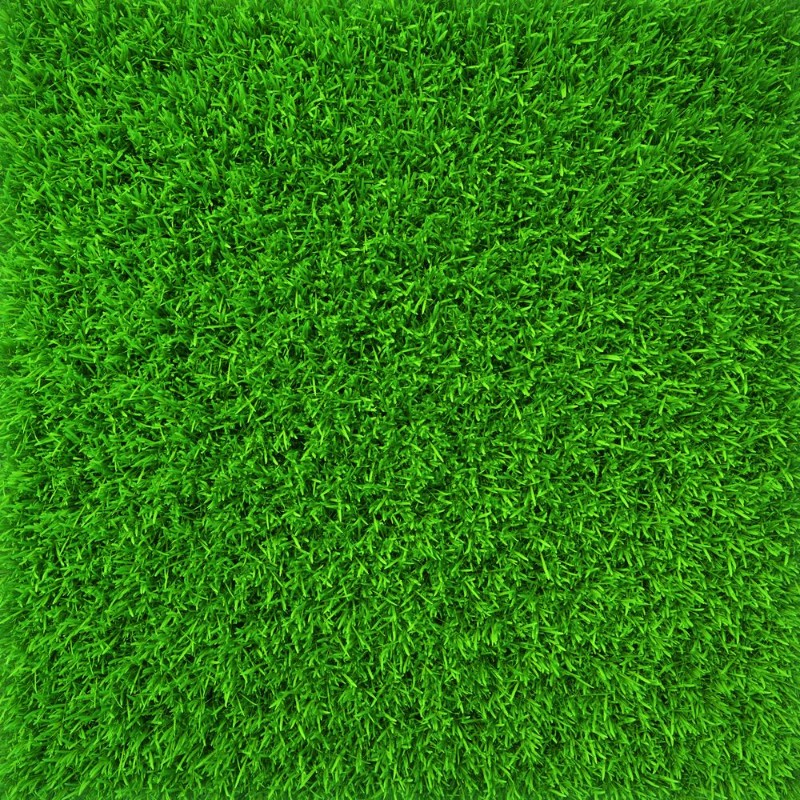 Image de Fuzzy Lawn