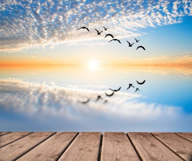 Picture of Amanecer en el mar tranquilo