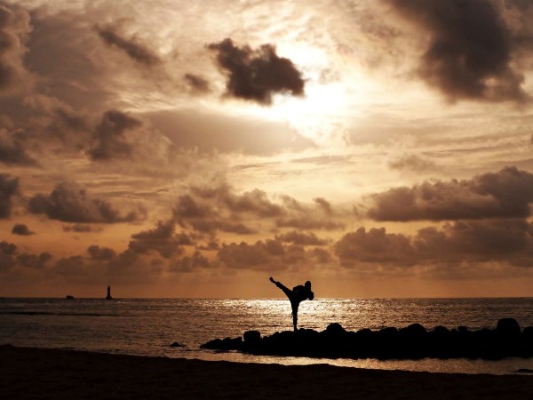 Picture of ARTES MARCIALES