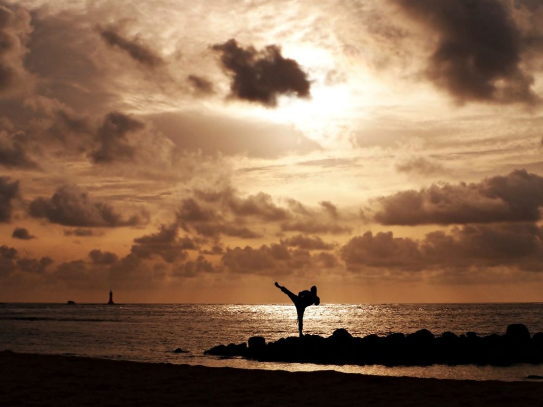 Picture of ARTES MARCIALES