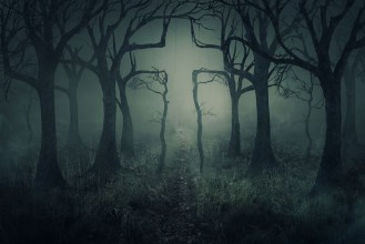 Bild von Forest and cross