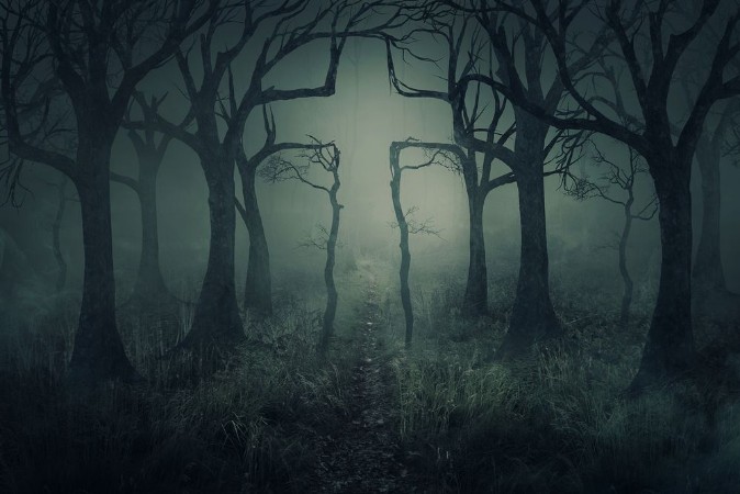 Image de Forest and cross