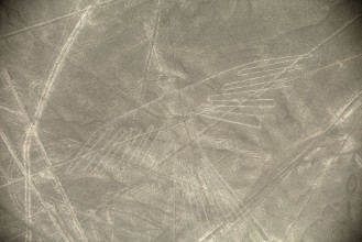 Bild von Condor