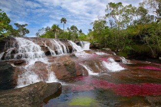 Picture of The river Canio Cristales is commonly called the River of Five Colors or the Liquid Rainbow