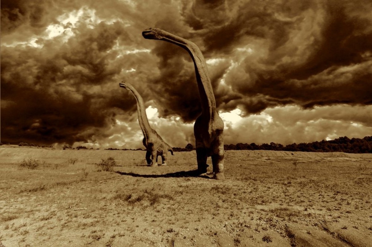 Bild på The Last Day