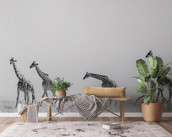 Picture of Group of giraffes in the savanna Kenya Tanzania East Africa An excellent illustration