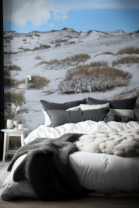 Image de Alpin tundra