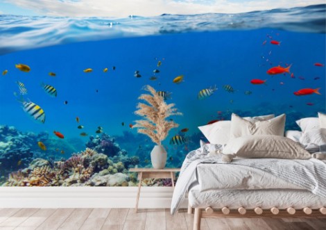 Image de Underwater coral reef with horizon and water waves