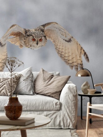 Picture of Flying owl in snow