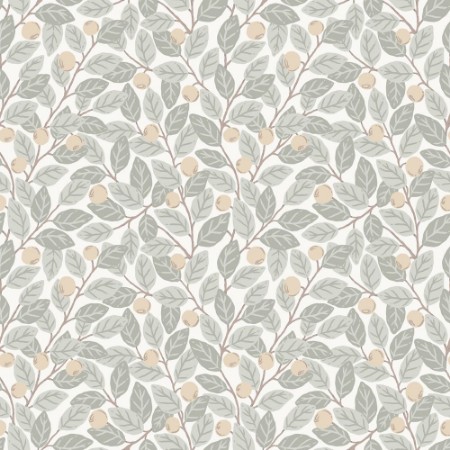Blåbär - 26025 wallpaper Midbec