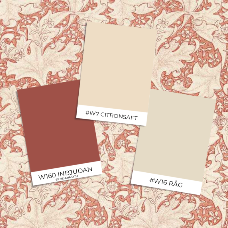 Image de Coloration - Wallflower Chrysanthemum Pink - MEWW217188 - 03588-01