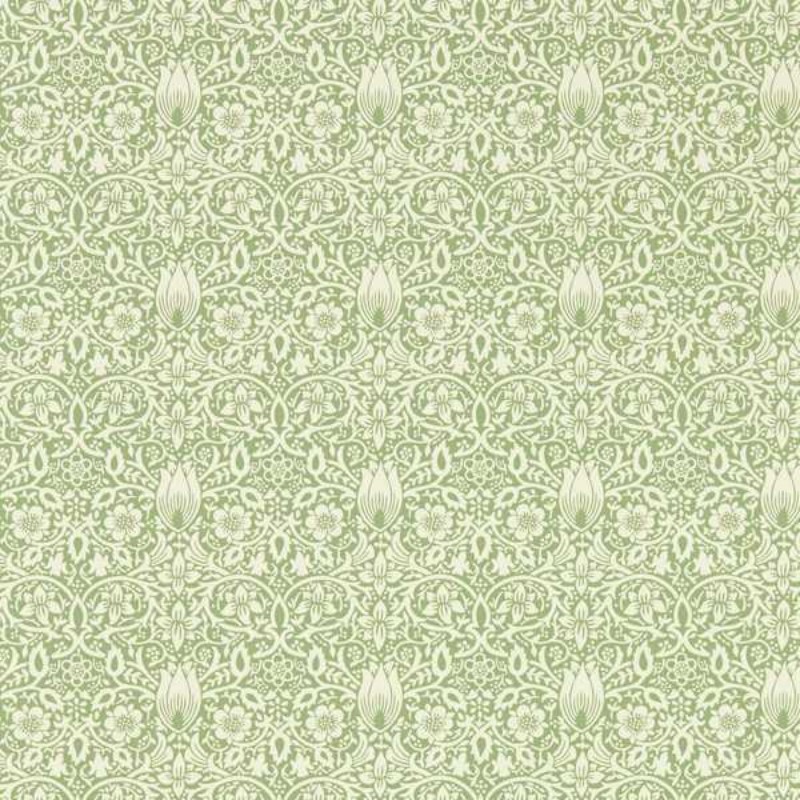 Picture of Fargesammensetning - Borage Leafy Arbour - MEWW217198 - 03598-01