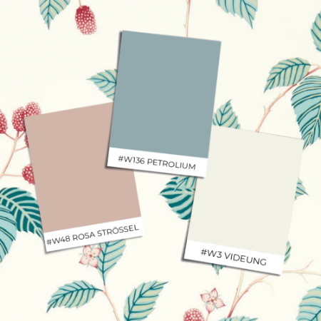 Image de Färgsättning Rubus Raspberry - DABW217228 - 03657-01