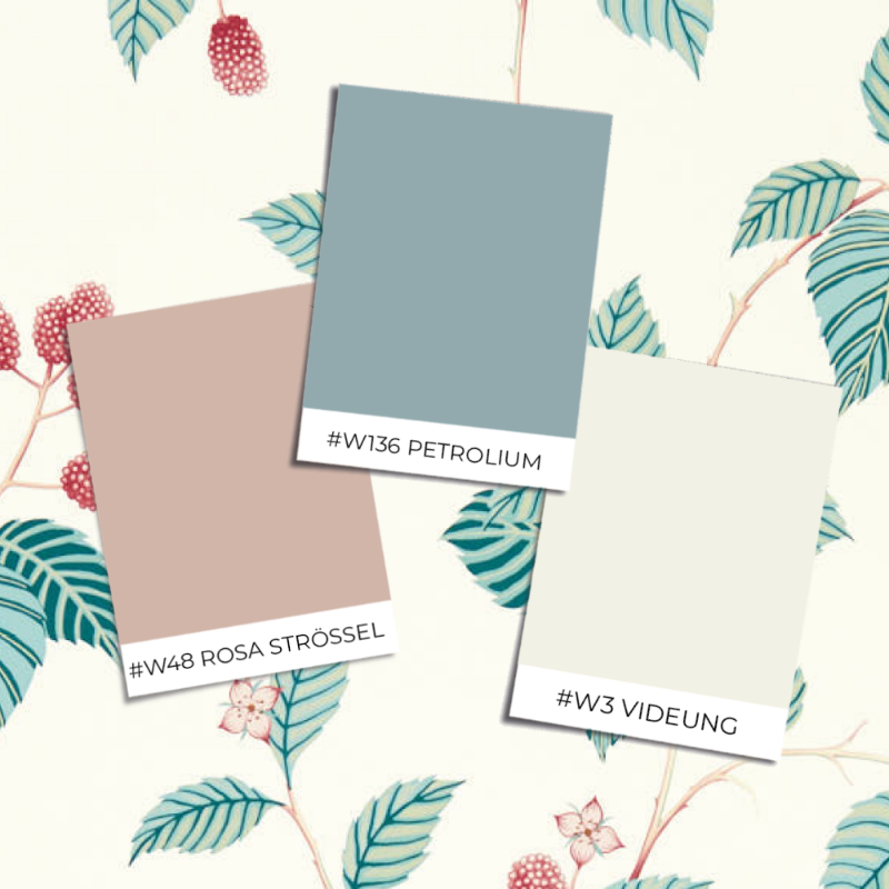 Picture of Fargesammensetning - Rubus Raspberry - DABW217228 - 03657-01