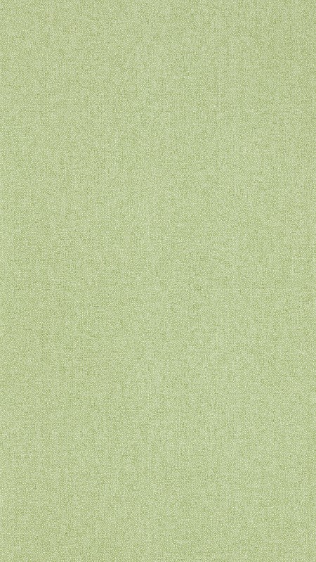 Picture of Färgsättning Sessile Plain Moss Green - DABW217248 - 03676-01