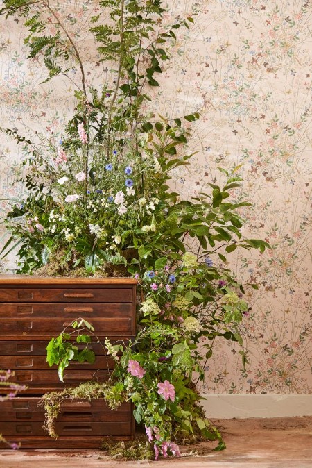 Picture of Farvesammensætning - Bambi Neapolitan - 03954-01