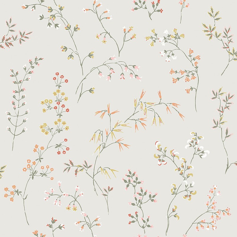 Image de Coloration - Gråäng - 2001 - 00094-01