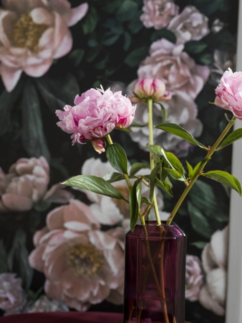 Image de Coloration - New Dawn Rose - 7234 - 00252-01