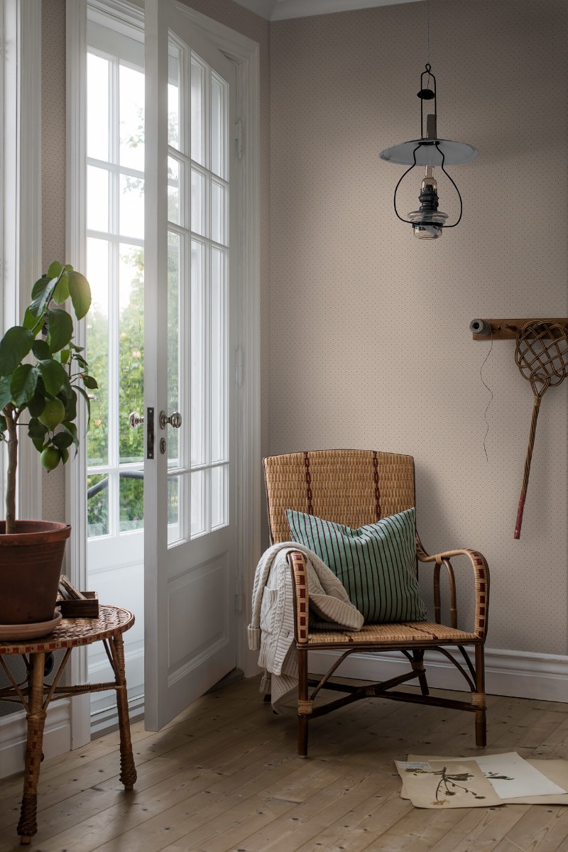 Image de Coloration - Daisy - 7656 - 00240-01