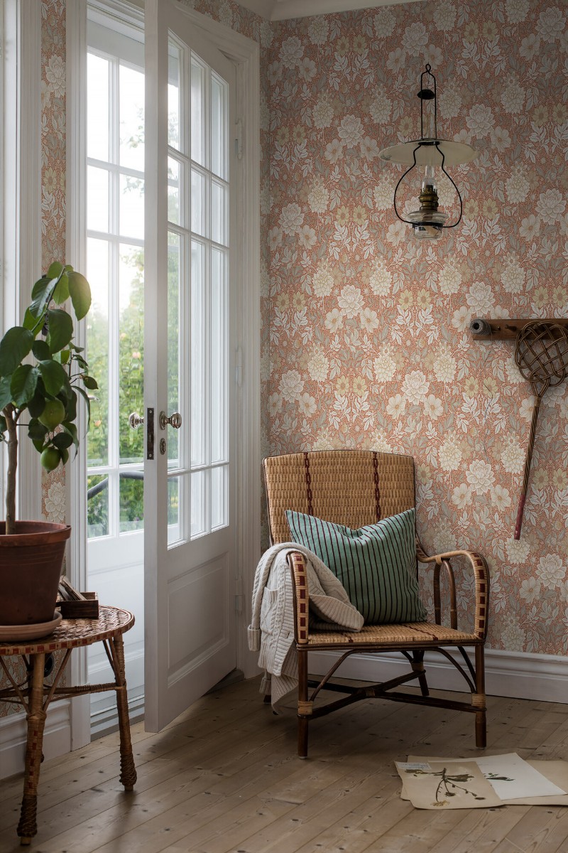 Picture of Farvesammensætning - Dahlia Garden - 7688 - 00429-01