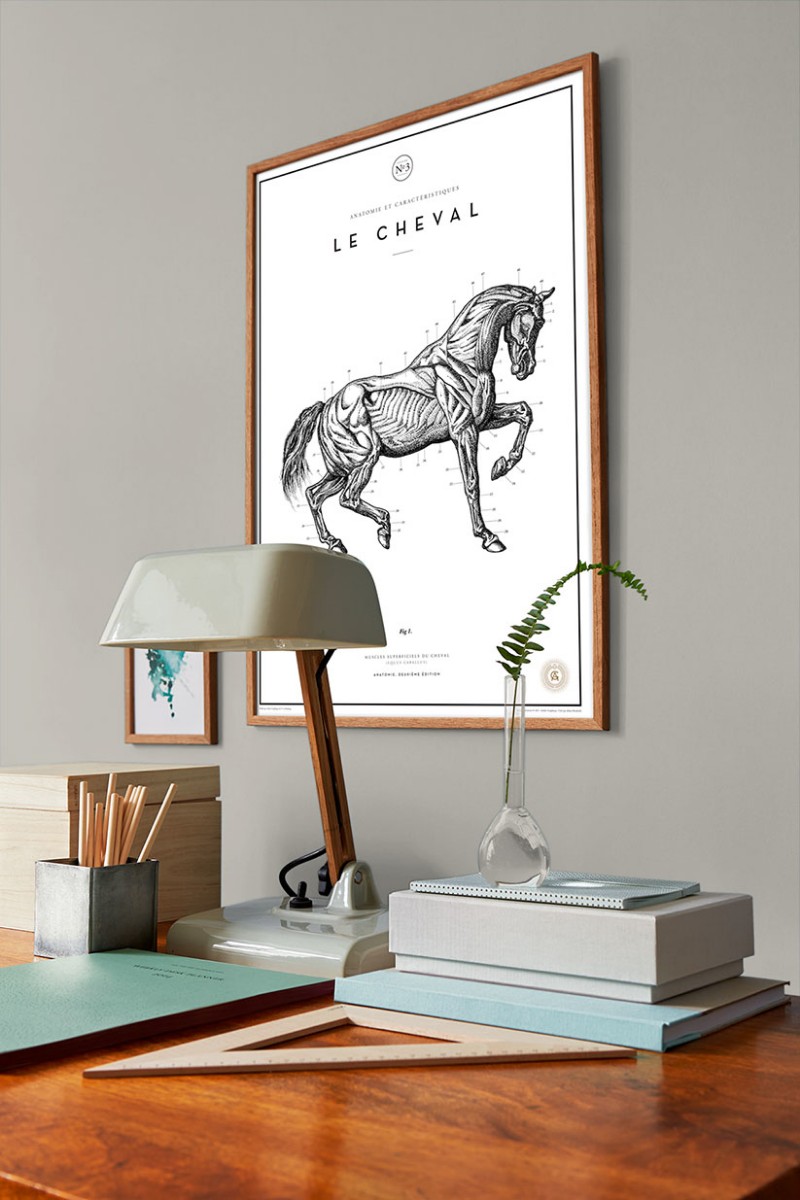 Picture of Coloring - Warm Grey - 7959 - 00273-01