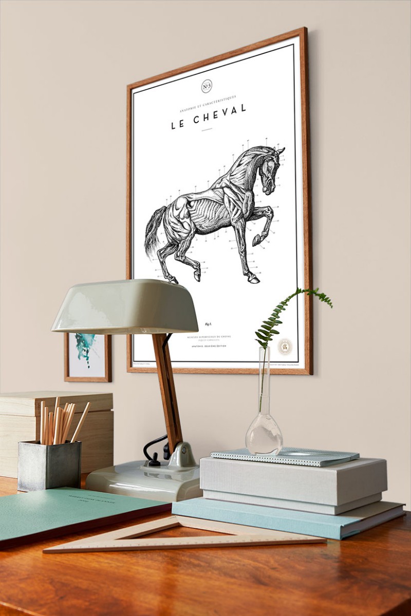 Afbeeldingen van Kleurcombinatie - Light Clay - 7964 - 00304-01