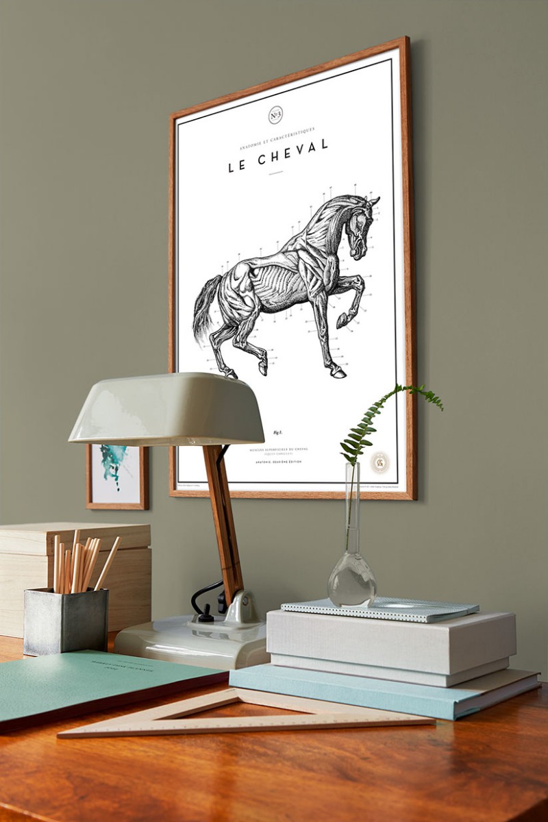 Picture of Coloring - Light Olive - 7977 - 00200-01