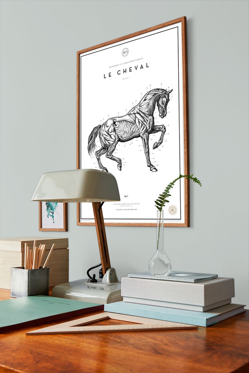 Picture of Väriyhdistelmä - Celadon Green - 7979 - 00320-01