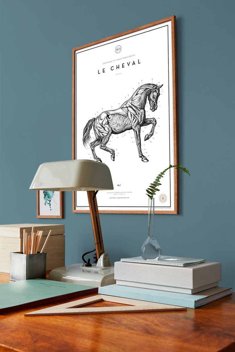 Picture of Coloring - Eternal Blue - 7988 - 00428-01