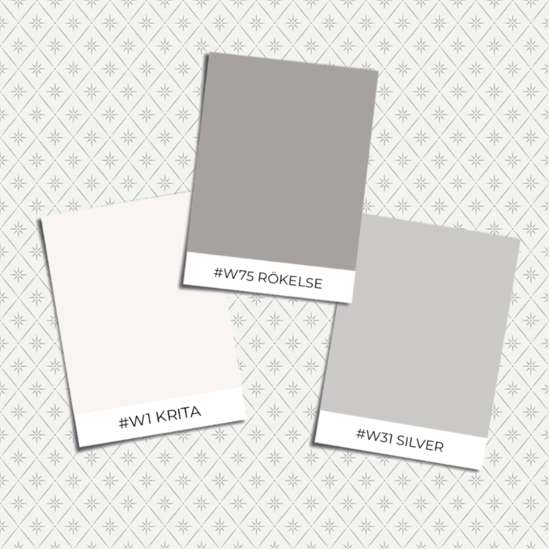 Image de Coloration - Windrose - 8864 - 00384-01