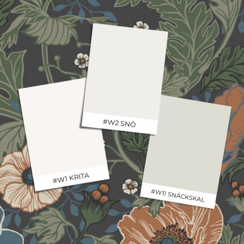 Anemone - 33003 wallpaper 