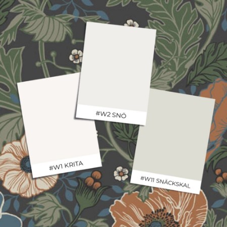 Anemone - 33003 wallpaper 