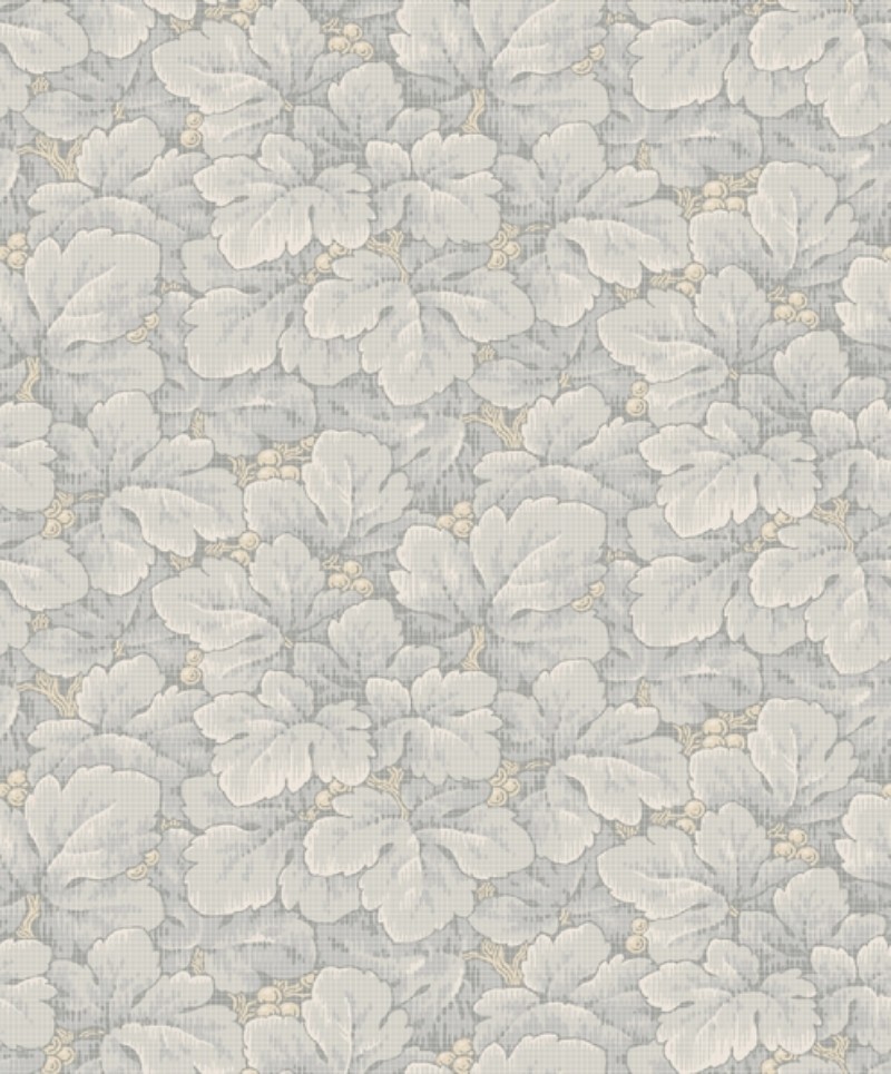 Image de Coloration - Waldemar - 4546 - 00151-01