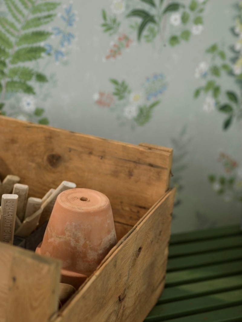 Picture of Farvesammensætning - Foxglove - 7221 - 00043-01