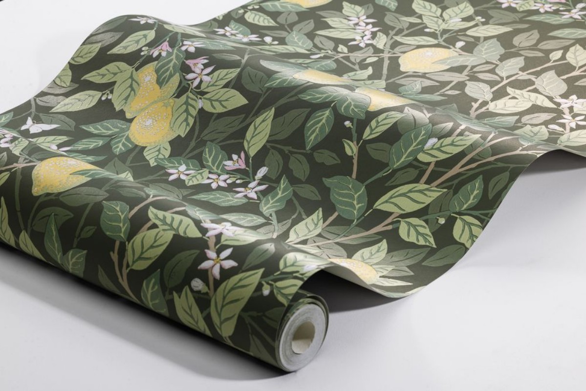 Citronträd - 5701 wallpaper 