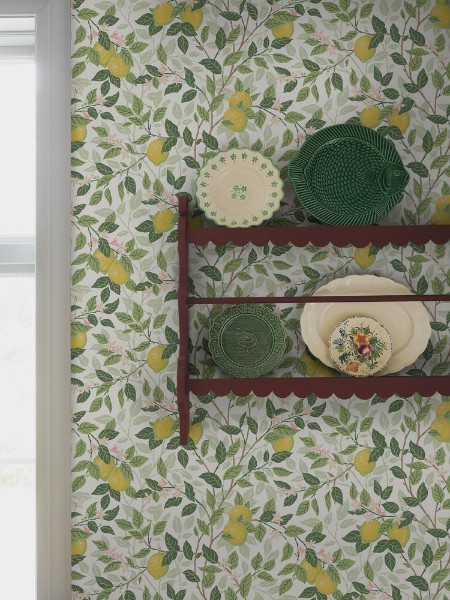 Citronträd - 5702 wallpaper Boråstapeter