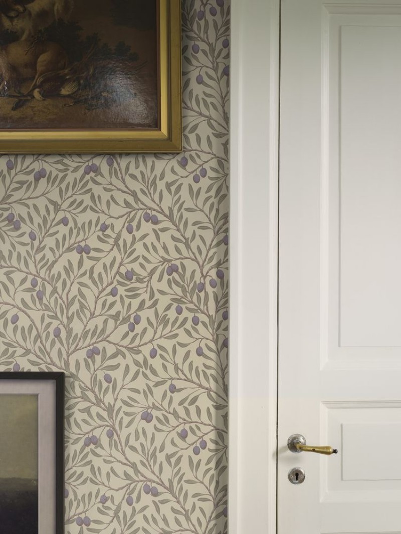 Olivträd - 5704 wallpaper Boråstapeter