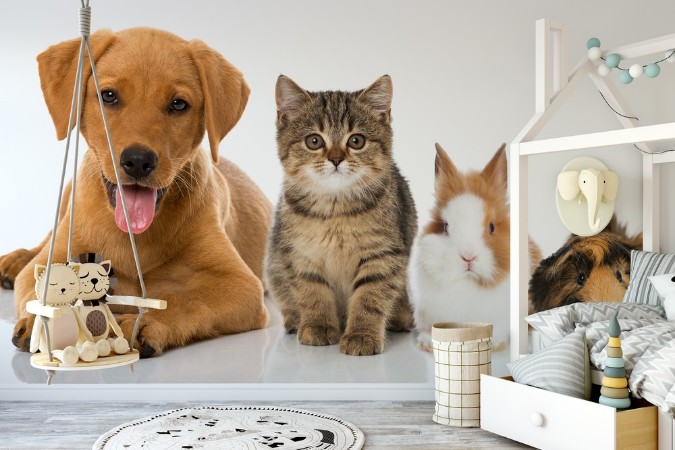 Haustiere photowallpaper Scandiwall