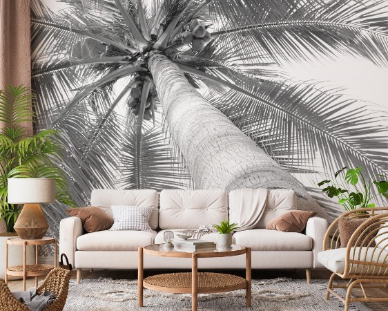 Beautiful palms coconut tree on white background photowallpaper Scandiwall